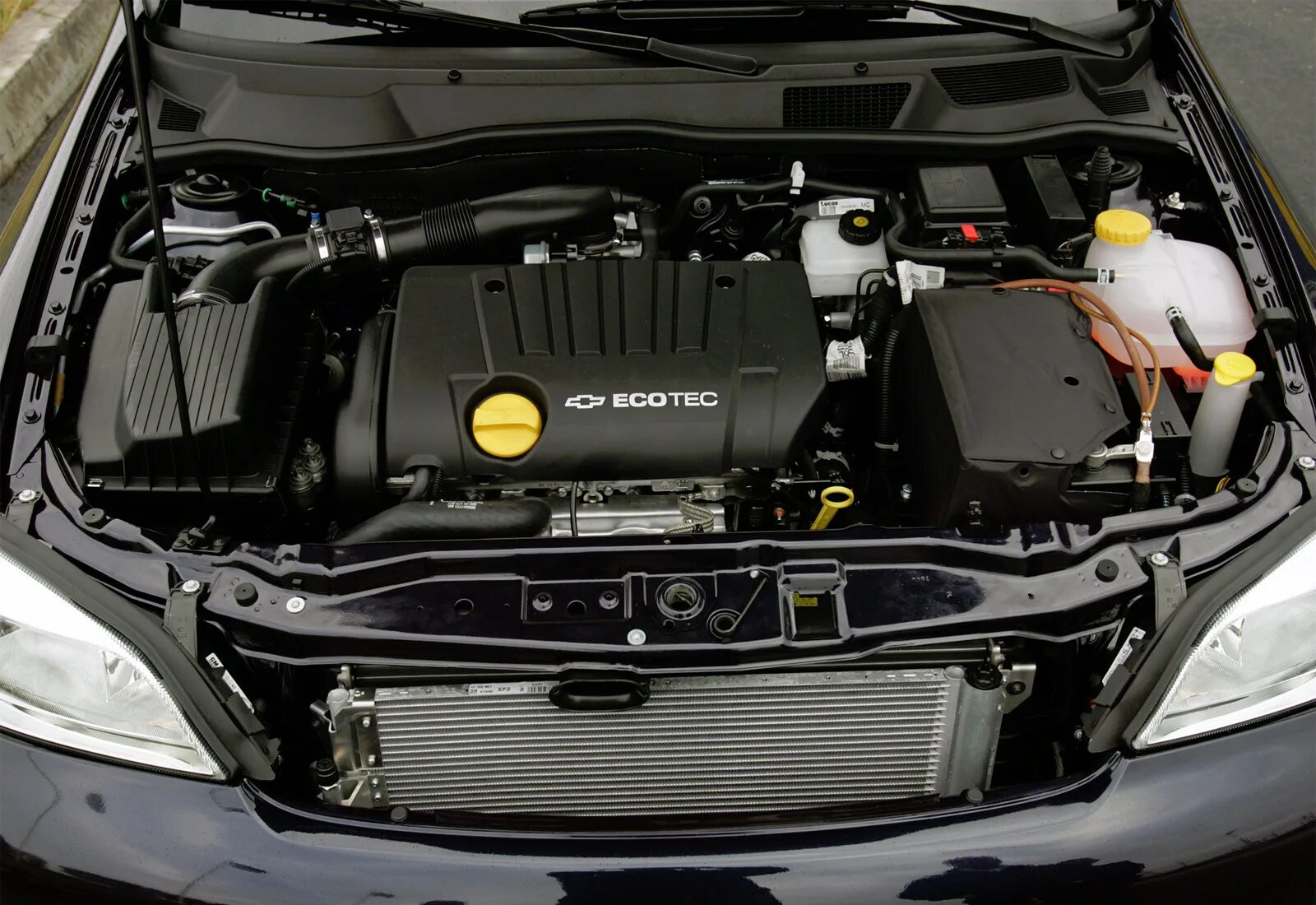 Шевроле реззо подкапотное пространство. 2003. Двигатель шевроле вива. Шевроле вива 1. Шевроле вива 1.