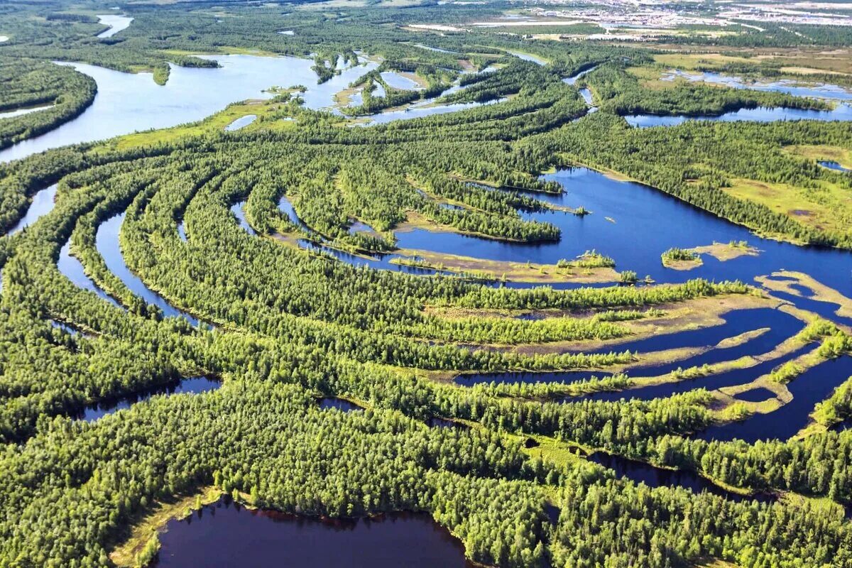 Дача занимая широкую и болотистую низменность раньше. Тайга Васюганские болота. Западно Сибирская равнина Васюганское болото. Васюганские болота, Сибирь. Васюганское болото с высоты птичьего полёта.