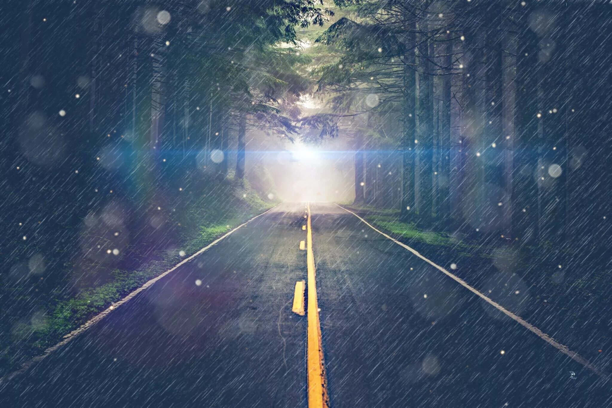 дождь туман. дождливый путь. дорога дождь. дождливый путь. лесная дорога.