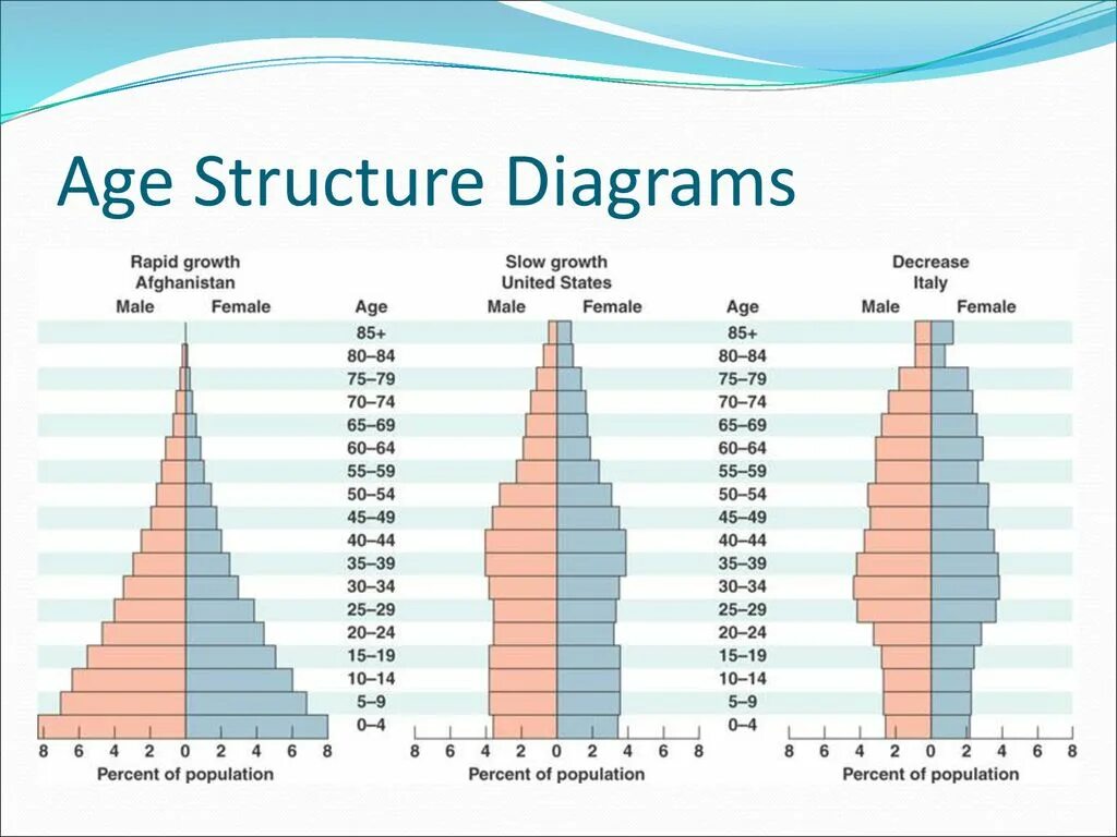 Population structure