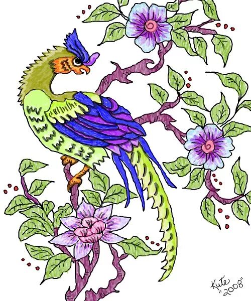 Райская птица на гербе. Вышивка гладью Райские птицы. Райские птицы рисунки. Райская птица рисунок для детей. Вышивка гладью райских птичек.