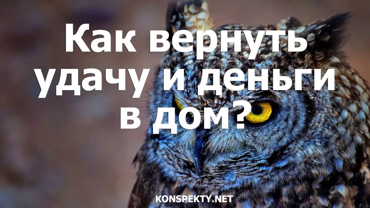 Как забирают удачу и деньги. Вернуть удачу и везение которую забрали. вернуть удачу и везение которую забрали завистью. как вернуть удачу. как вернуть себе удачу.
