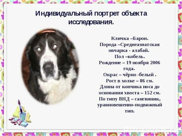 Кличка собаки перевод
