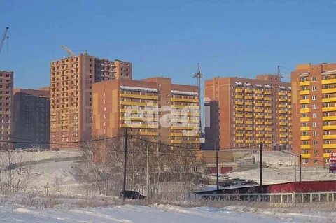 Снегири красноярск