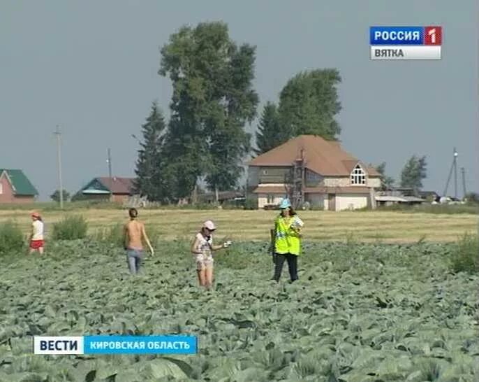 Поселок костино город киров. Пос костино киров. Поселок октябрьский кировская область. Костино кировская обл. Дворец культуры поселок костино.