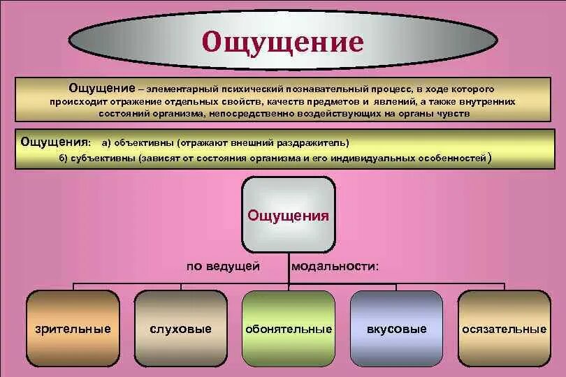 Названия ощущений. Познавательные процессы ощущение. Познавательные психологические процессы ощущение. Психические Познавательные процессы ощущение. Ощущение как психический процесс.