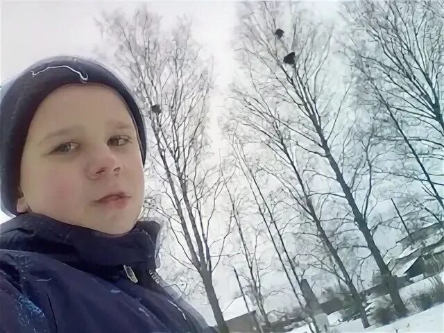 Коля бык
