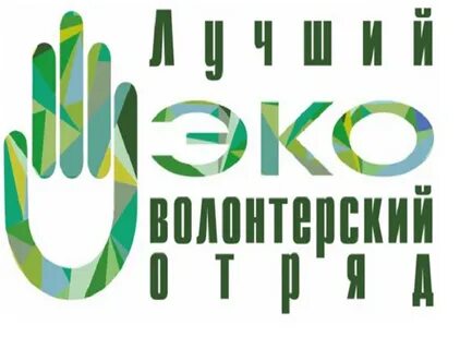 Проект лучший волонтер