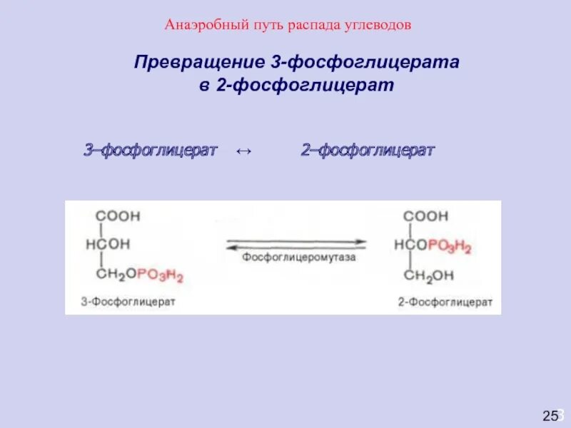 Фосфоглицер. Реакция образования 3 фосфоглицерата. превращение 2-фосфоглицерата в 2-фосфоенолпируват катализирует. образование 2-3 фосфоглицерата. формула 3 фосфоглицерата.