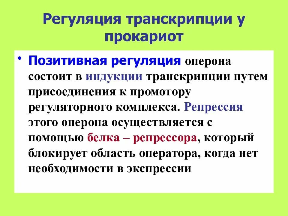 Регуляция транскрипции. Регуляция транскрипции у прокариот. процесс регуляции транскрипции. регуляция транскрипции у прокариот позитивная. способы регуляции транскрипции у прокариот.