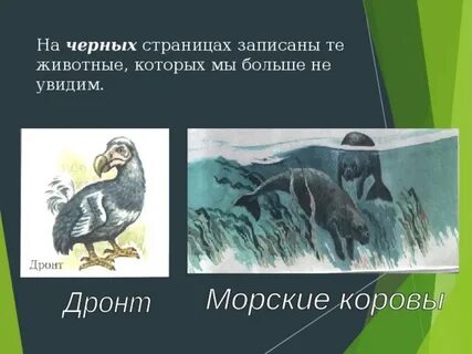 Красная книга черные страницы растения