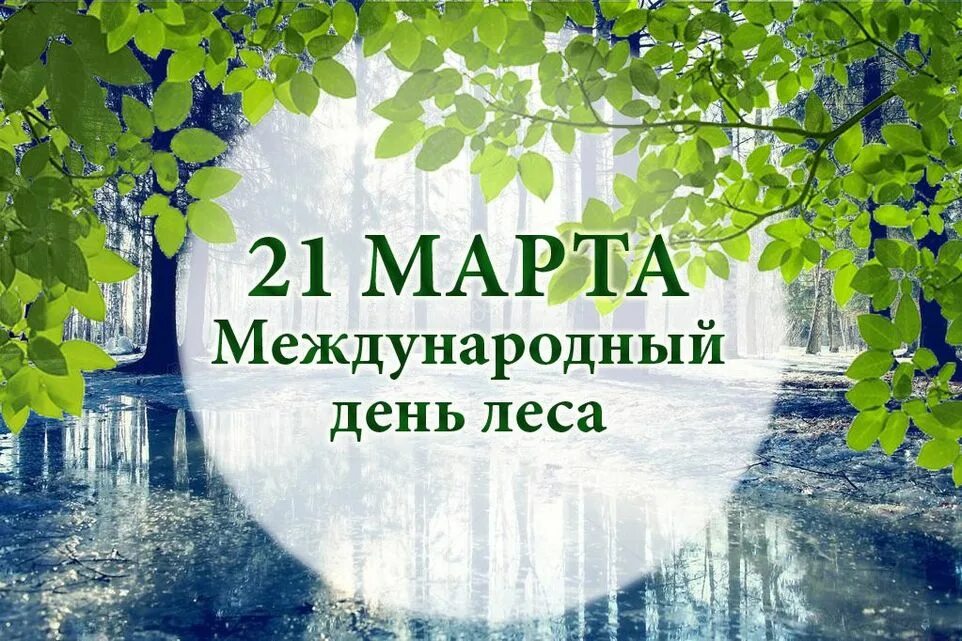 21 международный день леса. Международный день лесов. Международныйдерь лесов. Междуанродныйдень лесов.