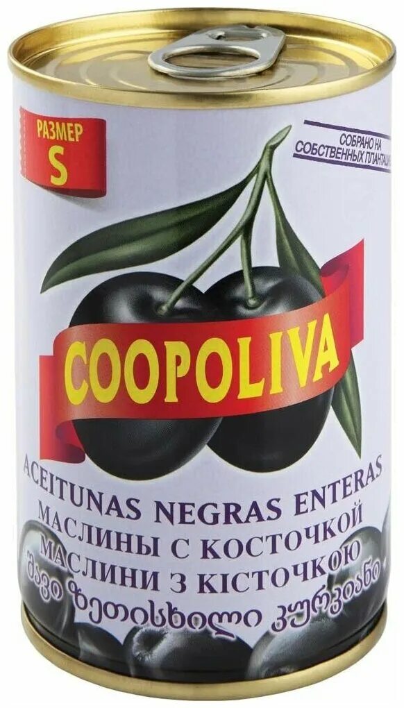 Оливки фирмы производители. Оливки фирмы. Маслины в жестяных банках. Coopoliva маслины с косточкой 300г. Оливки производители.