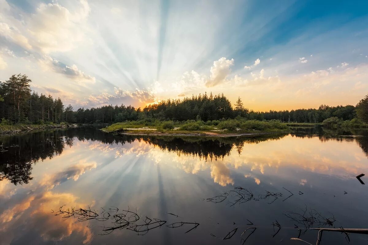 Заповедник мещера. Национальный парк Мещёра во Владимирской. Мещерский парк Гусь-Хрустальный. Мещёрский национальный парк Гусь Хрустальный. Национальный парк Мещерский Рязань.