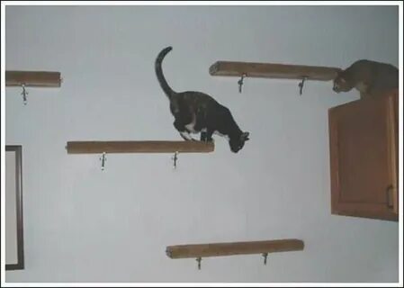 Села форт для кошек