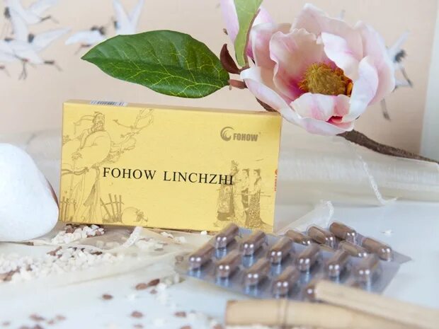 Линчжи фохоу. Продукция fohow капсулы линчжи. капсулы линчжи феникс. fohow linchzhi капсулы. капсулы &quot; линчжи феникс&quot; fohow llnchzhi.