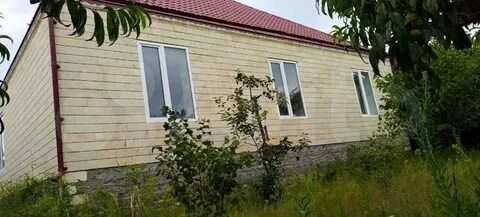 Авито касумкент