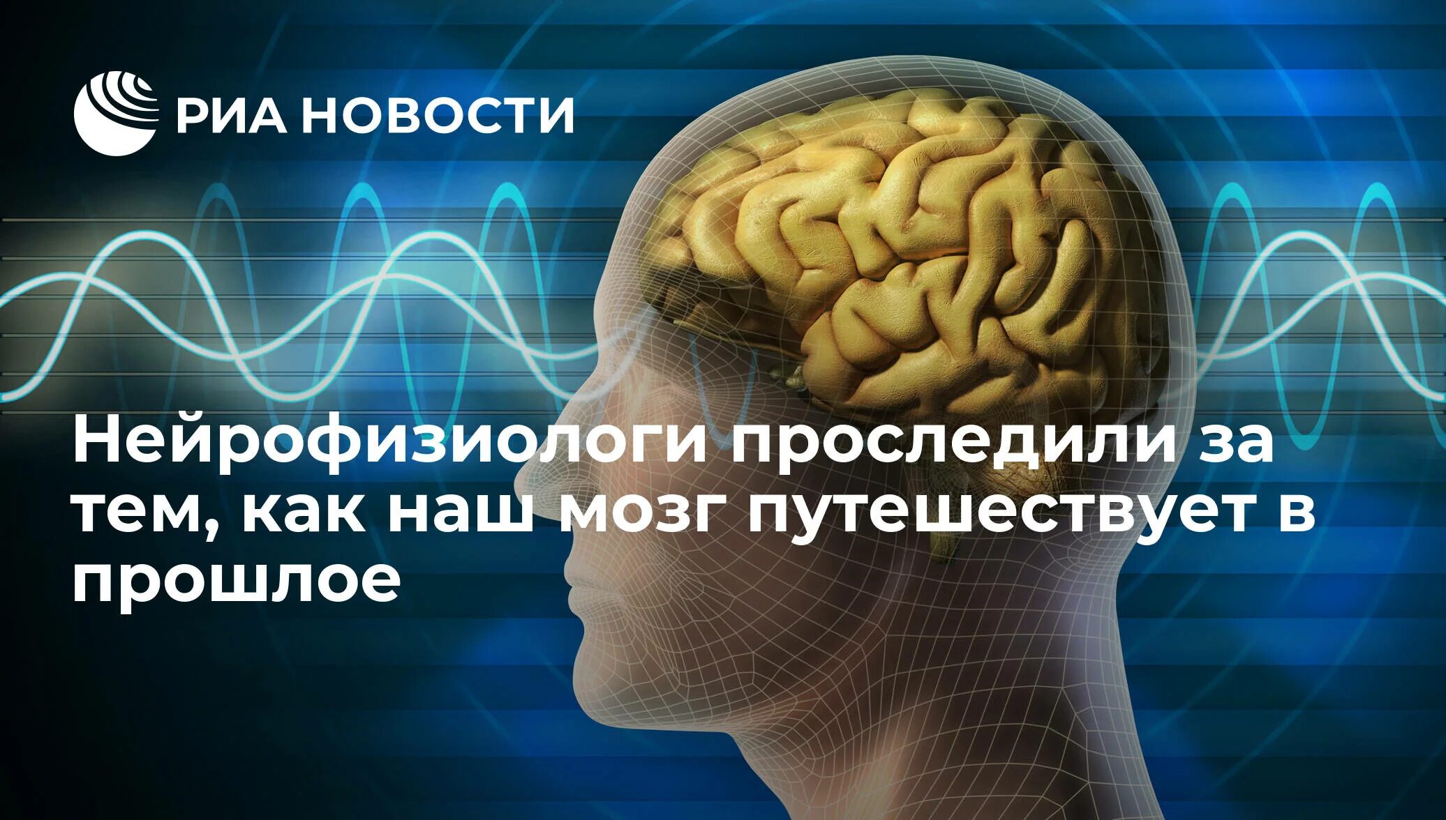 Лебедев нейрофизиолог. Великие нейрофизиологи. Ученые изучают мозг. Хронический стресс.