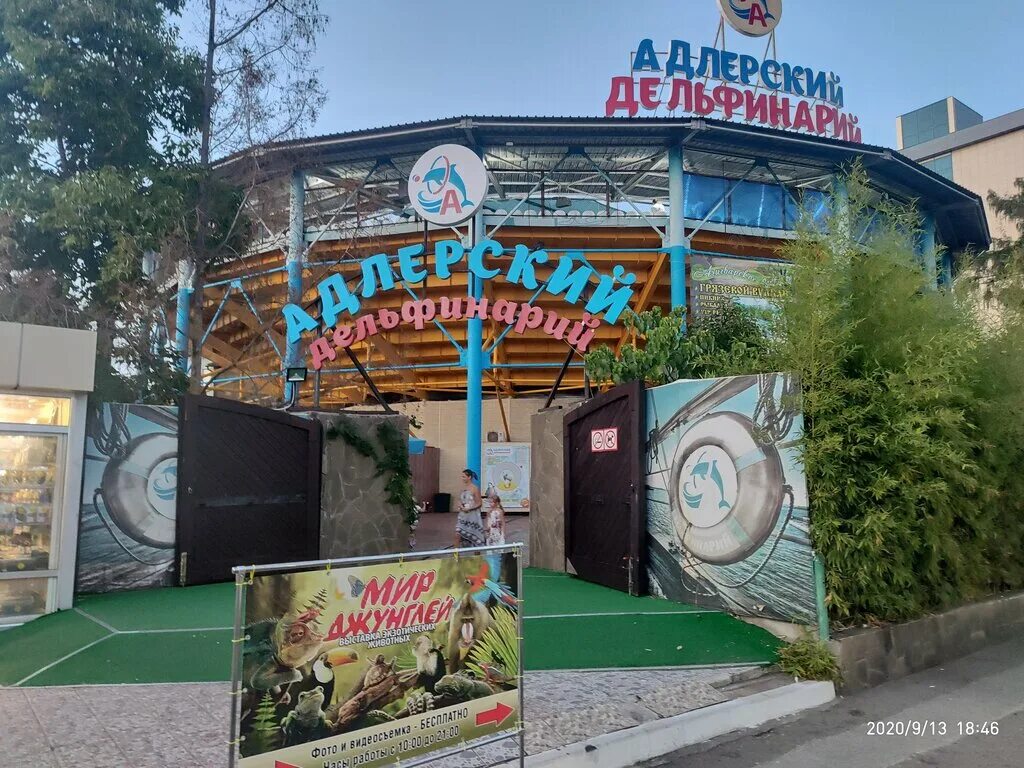 Адлерский дельфинарий ул ленина 219 2 фото