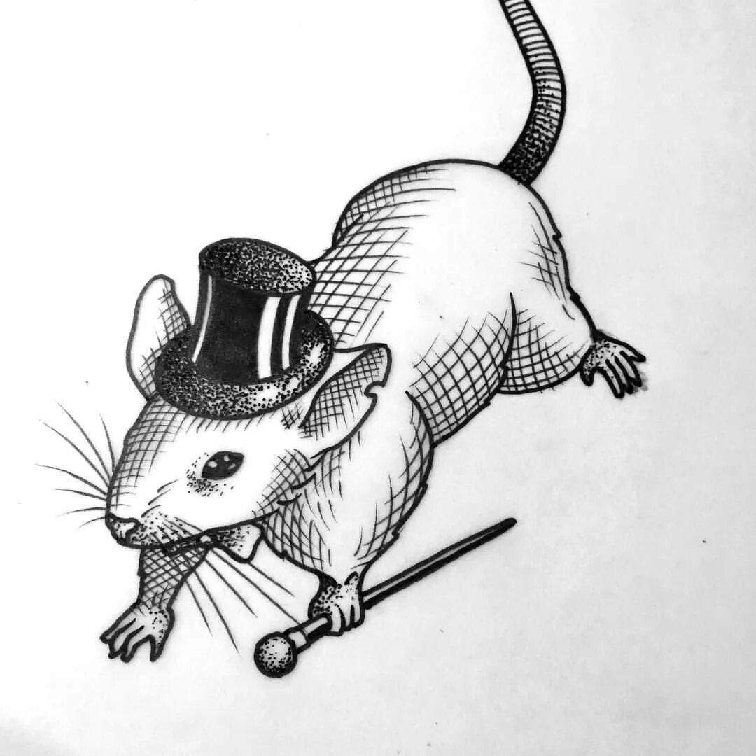 Мышь для графики. Тату крыса. Крыса Татуировка эскиз. Мышь тату эскиз. Стилизованная мышь.