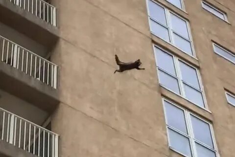 Скинул с балкона