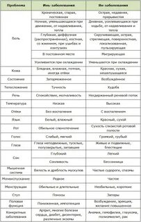 Продукты янь