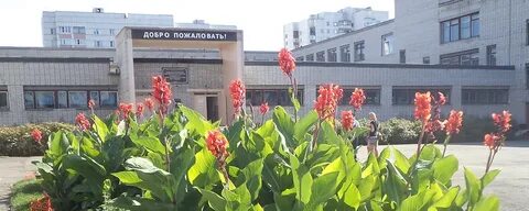 Гимназия 27 барнаул