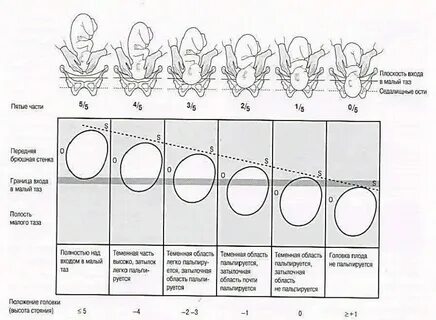 Почему головка синяя