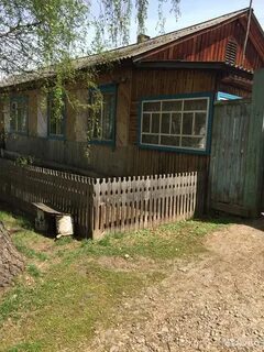 Продам большая мурта