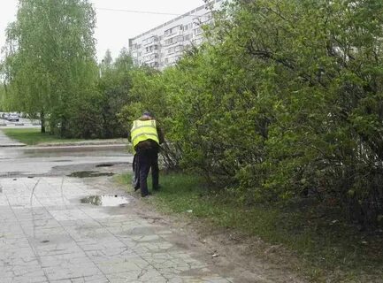Дневник ульяновска