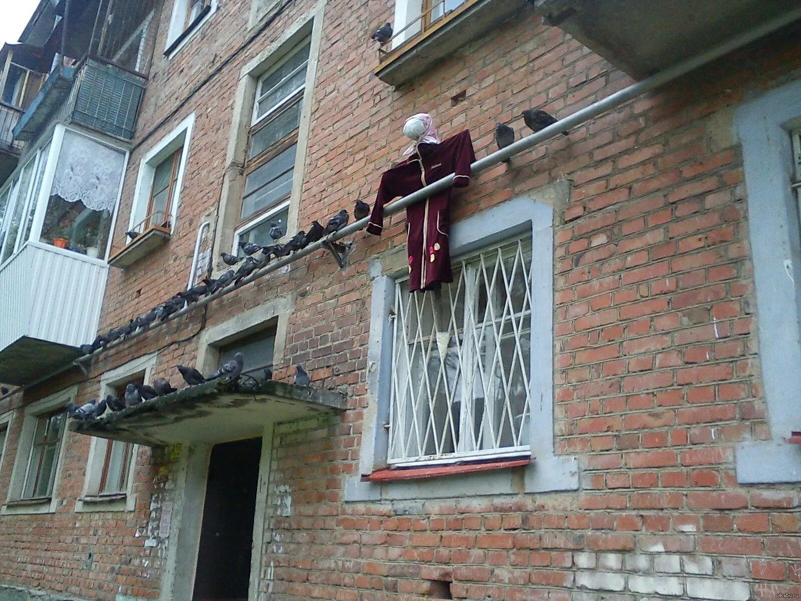 Чем отпугнуть голубей с балкона. Защита балкона от голубей. приспособление на подоконник от голубей. отпугиватель голубей с подоконника. голуби на крыше балкона.