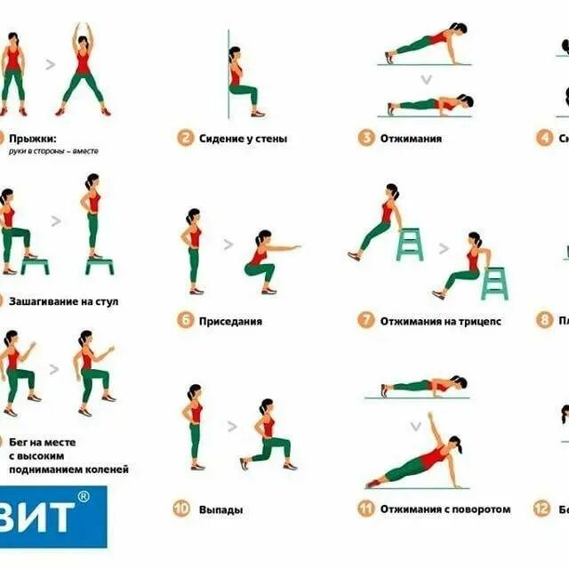 Комплекс упражнений для зарядки. Комплекс упражнений для утренней зарядки. Комплекс ежедневных упражнений. План упражнений для зарядки.