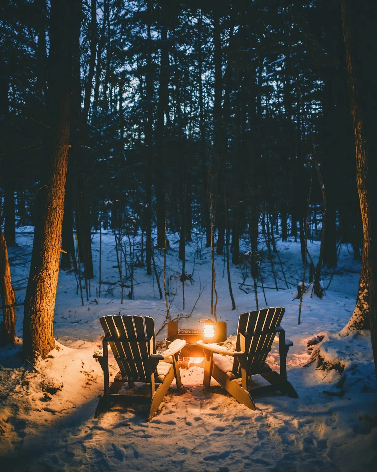 Ужин в лесу. Зимний лес вечером. Пикник зимой. Романтика в лесу зимой. Уютного зимнего вечера.