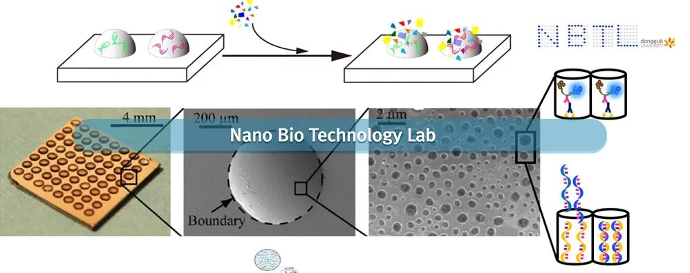 Карточки ion. Нано теч. Био нпк. Нано био. Нано био.