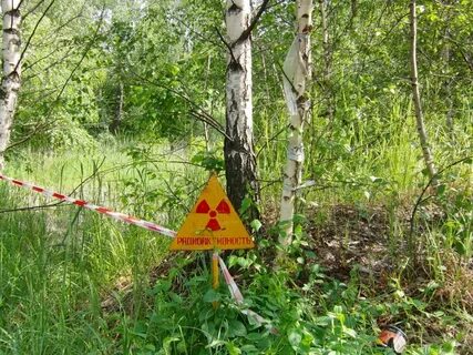 Радиация в ростове