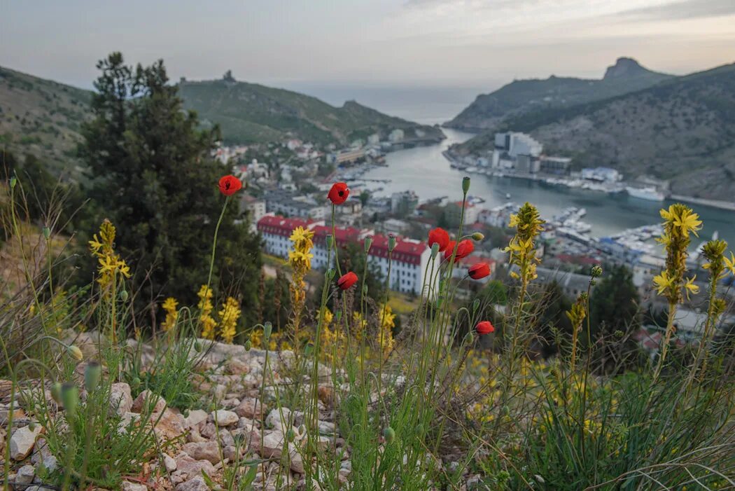 10 дней до весны про крым. Крым весной. Весенние красоты Крыма. Март в Крыму.