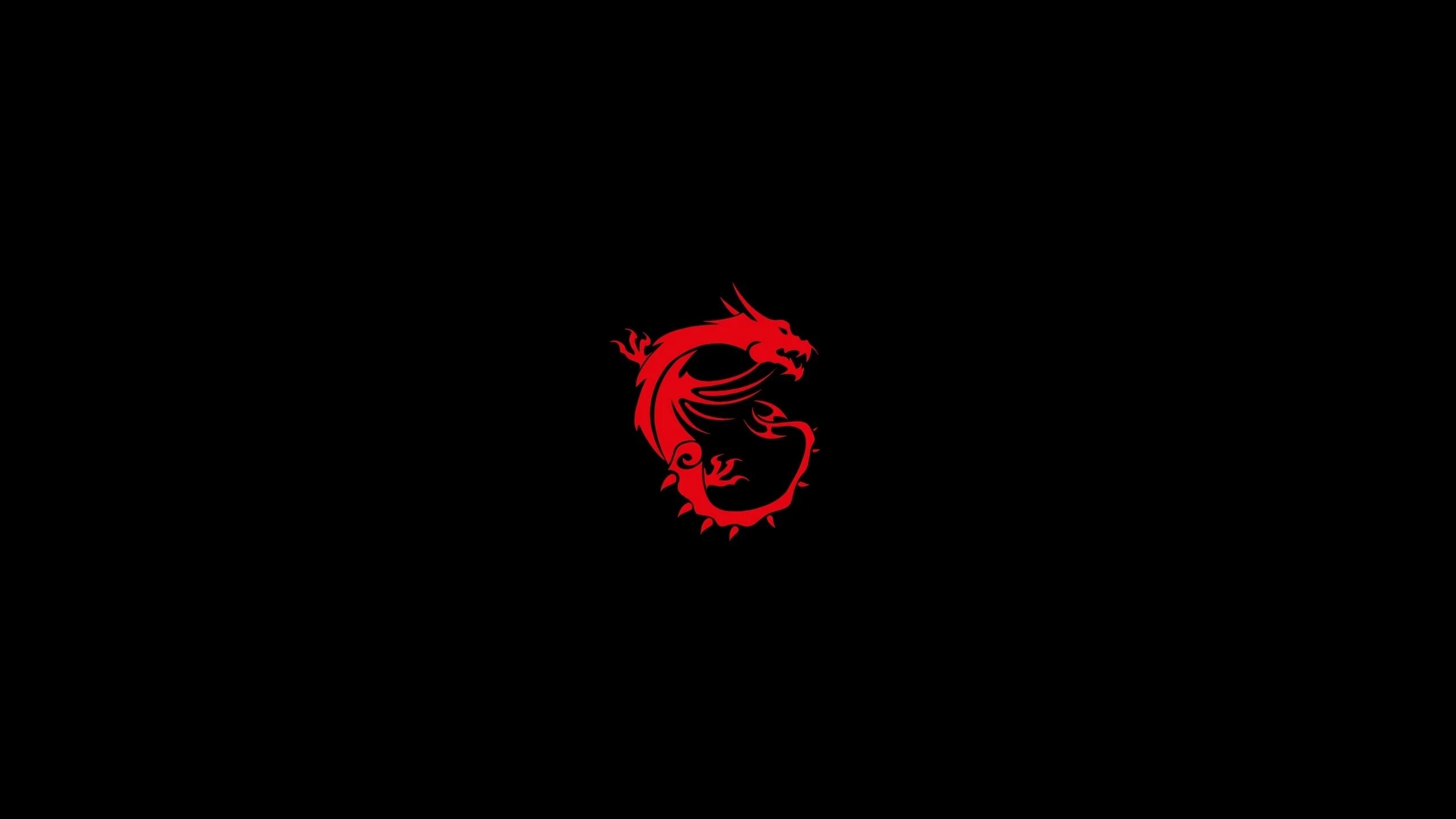 16 10 39. Красный дракон MSI.