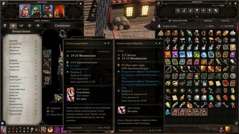 Divinity original sin 2 некропламя