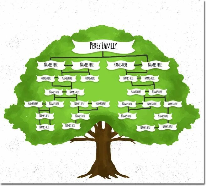 Составить дерево на английском. Family tree(семейное древо). родословная дерево на немецком. геологическое дерево. дерево семьи на французском.