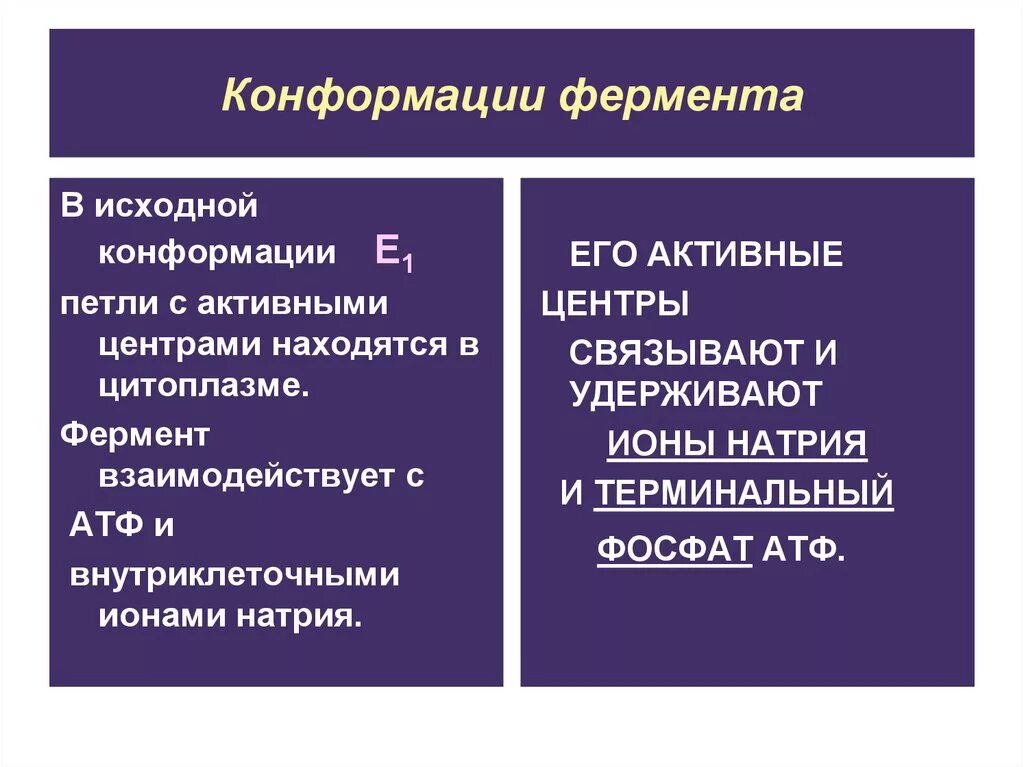 Конформация фермента. Изменение конформации фермента. Изменение конформации фермента происходит при. Конформация активного центра фермента это. Конформация АЦ фермента.