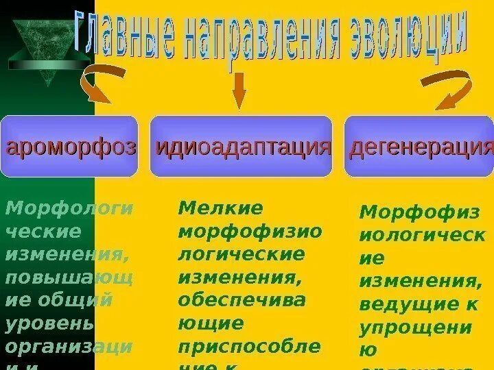 Биологический прогресс ароморфоз общая дегенерация и. 1) Ароморфоз 2) идиоадаптация 3) общая дегенерация. Направление эволюции ароморфоз идиоадаптация дегенерация таблица. Ароморфоз 2) идиоадаптация 3) дегенерация. Ароморфоз идиоадаптация общая дегенерация это пути достижения.