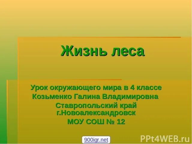 Рассказ жизнь леса. Жизнь леса 4 класс. Жизнь леса 4 класс окружающий мир. Проект жизнь леса. Жизнь леса окружающий мир презентация.