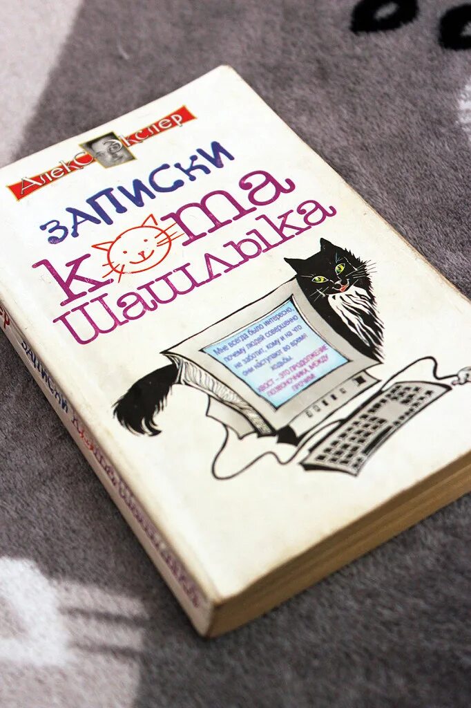 Кот шашлык читать. Алекс экслер записки кота. записки кота шашлыка алекс экслер книга. записки кота шашлыка. кот с запиской.