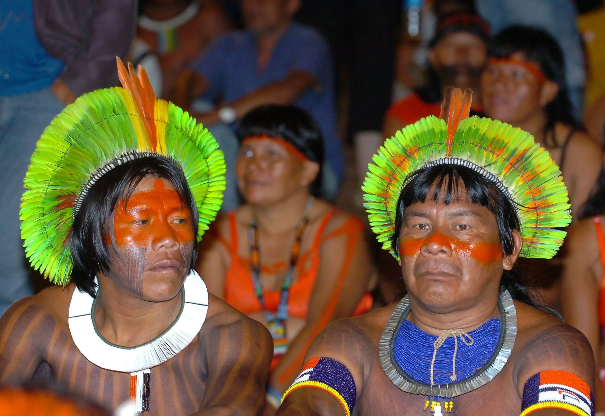 Коренные индейцы Южной Америки. Индейцы коренные жители Бразилии.