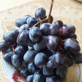 Виноград ульяновск
