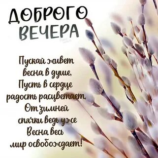 Добрый мартовский вечер понедельника