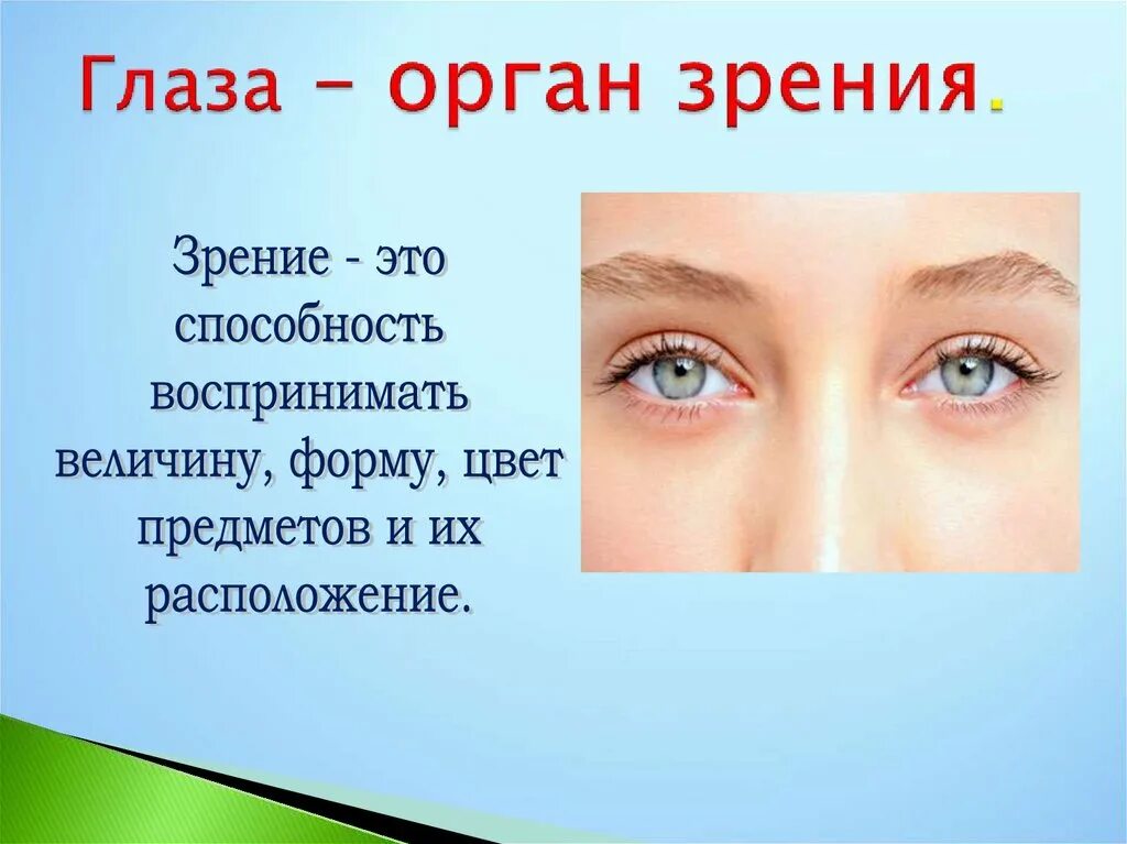 Тест по теме зрение. Органы чувств глаза. Глаза орган зрения. Глаза орган зрения сообщение. Органы чувств доклад.