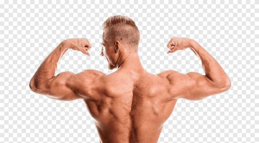 День сильного плеча. Мускулистая мужская спина. Бицепс на белом фоне. Накаченные руки. Мужской бицепс.