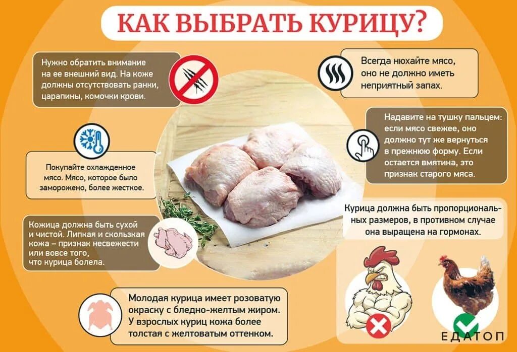 Как выбрать курицу. Как правильно выбрать курицу. Как выбрать мясо отличное.