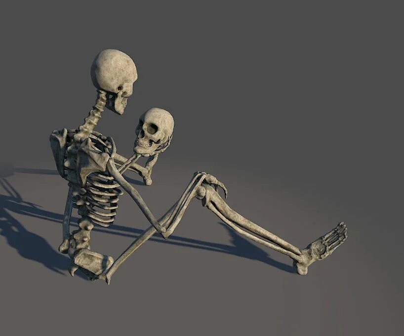 Учебный скелет. Скелет держит. Скелет человека с поднятой рукой. Скелет стоит.
